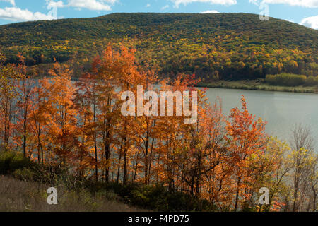 Il Grand Canyon di Pennsylvania nel fogliame di autunno. Foto Stock