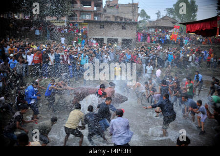 Kathmandu, Nepal. Xxi oct, 2015. I devoti celebra la festa da spruzzi d'acqua verso il bufalo sacrificale verso il tempio Bramayani in occasione del più grande festival di Dashain a Bhaktapur. Dashain è il più promettente e il più grande festival celebrato in Nepal che riflette antiche tradizioni e la devozione dei nepalesi verso la dea Durga. Credito: Narayan Maharjan/Pacific Press/Alamy Live News Foto Stock