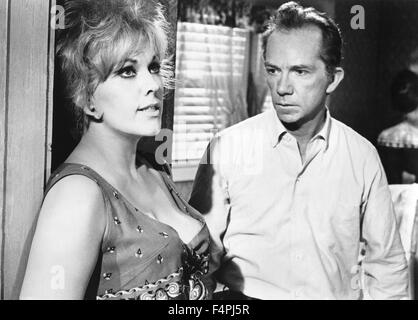 Kim Novak e Ray Walston / Kiss me, stupido / 1964 diretto da Billy Wilder [United Artists] Foto Stock