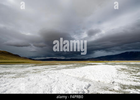 Strati di sale, paesaggio arido e nuvole scure a tso kar, una fluttuazione di Salt Lake, situato ad un altitudine di 4.530 m sopra se Foto Stock