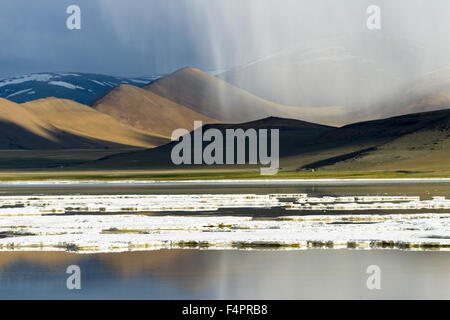 Strati di sale, paesaggio arido e nuvole scure a tso kar, una fluttuazione di Salt Lake, situato ad un altitudine di 4.530 m sopra se Foto Stock