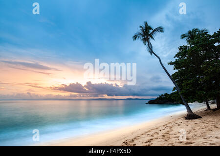 Seascape esotici con un albero di palma appoggiata al di sopra del mare dei Caraibi al tramonto, in Cayo Levantado, Repubblica Dominicana Foto Stock
