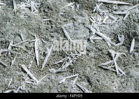 I cristalli di sale in forme diverse si trovano a tso kar, una fluttuazione di Salt Lake, situato ad un altitudine di 4.530 m sopra il mare lev Foto Stock