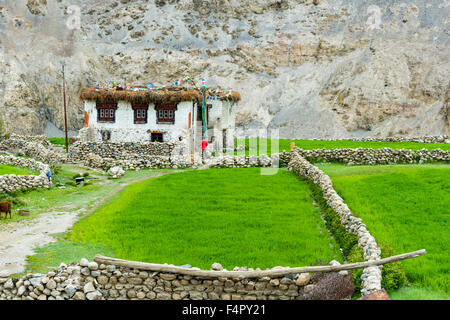 Una casa di contadini e campi di verde nel paesaggio arido di seguito taglang la (5.325 m), il massimo passaggio sul manali-leh autostrada Foto Stock