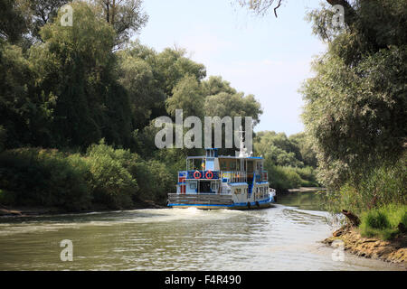 Il Delta del Danubio Riserva della Biosfera, vicino a Tulcea, Romania Foto Stock