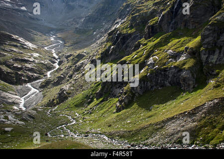 La Svizzera, Europa, Grigioni, Grigioni, Hinterrhein, Parc Parc Adula, Parc Adula, Zapport, origine, molla, fonte, Reno, valley, Brook Foto Stock