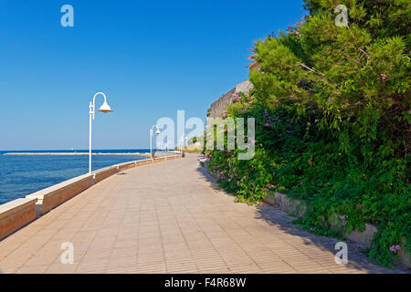 Europa Spagna Alicante, Valencia, Denia, Carrer Fenix, lungomare Promenade, bay, alberi, fiori, mare, paesaggi, lanterne, luogo Foto Stock