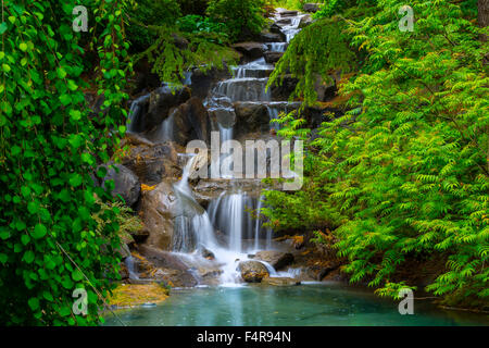 La British Columbia, Canada Vancouver VanDusen, Giardino Botanico, botanico Giardino, estate, cascata Foto Stock