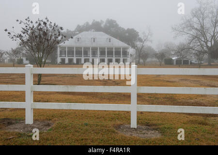 Stati Uniti d'America, Stati Uniti, America, Louisiana, San Giacomo parrocchia, Vacherie, egli sud, sud, Mansion, piantatrice Dixie, viaggi, nebbia, pl Foto Stock