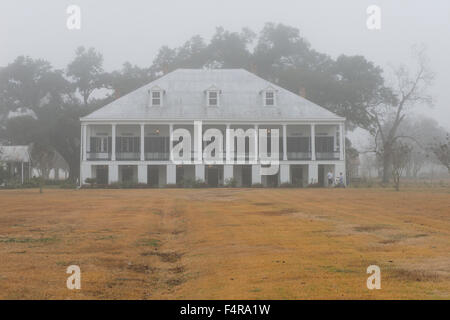 Stati Uniti d'America, Stati Uniti, America, Louisiana, San Giacomo parrocchia, Vacherie, egli sud, sud, Mansion, piantatrice Dixie, viaggi, nebbia, pl Foto Stock