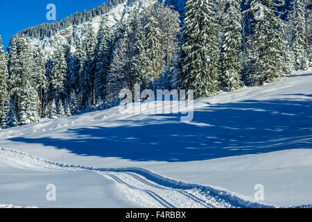 Regione di Allgäu, Allgäuer Alpen, Alpi al di fuori, alberi, bavarese, Germania, Europa, montagne, freddo, sci di fondo cross-country tra Foto Stock