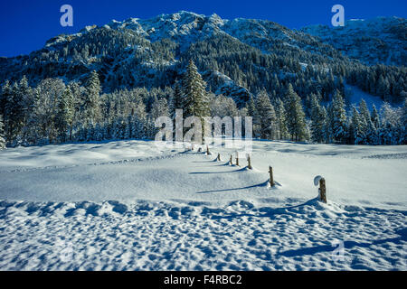 Regione di Allgäu, Allgäuer Alpen, Alpi al di fuori, alberi, bavarese, Germania, Europa, montagne, freddo, Oberallgäu, Oberstdorf, neve, nevoso, S Foto Stock