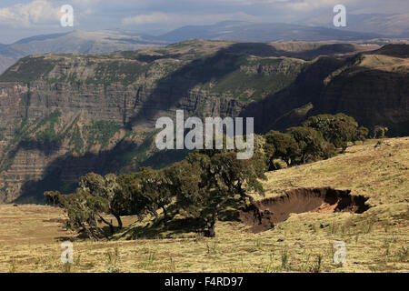 Nelle Highlands di Abissinia, Simien Mountains, paesaggio in Simien Mountains National Park Foto Stock