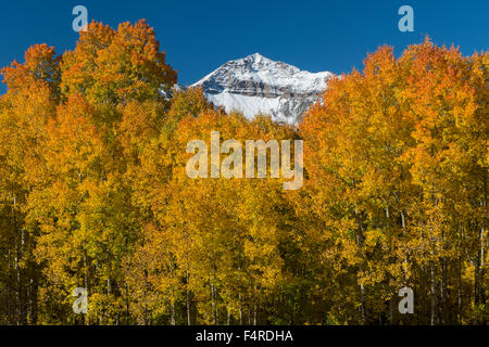 Stati Uniti d'America, STATIUNITI, America, Colorado, San Juan Mountains, picco, fogliame, autunno, colore rosso, gamma, montagna, paesaggi, natura Foto Stock