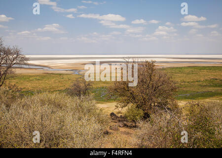 Africa, alberi, Lake Manyara national park, paesaggio, paesaggio, safari, viaggi, lago, Tanzania, acqua Foto Stock