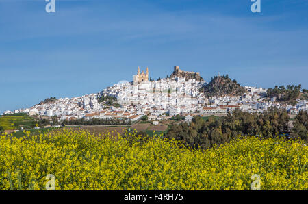 Andalusia, la regione, la provincia di Cadiz Cadice, paesaggio, Olvera, città, Spagna, Europa, molla, architettura, castello, colorati fiori, n. Foto Stock