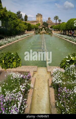 Giardini di Alcazar, Cordoba, Andalusia, Spagna, Europa Foto Stock