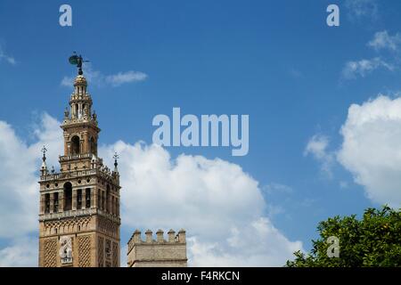La Giralda, la torre campanaria, minareto, Sito Patrimonio Mondiale dell'UNESCO Cattedrale di Siviglia, in Andalusia, Spagna, Europa Foto Stock