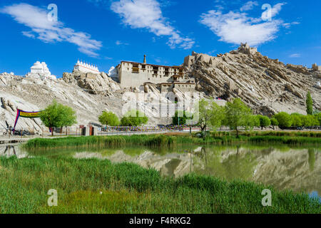 Shey gompa è situato su di una collina sopra la valle del Indus, un lago e il verde degli alberi al di sotto Foto Stock