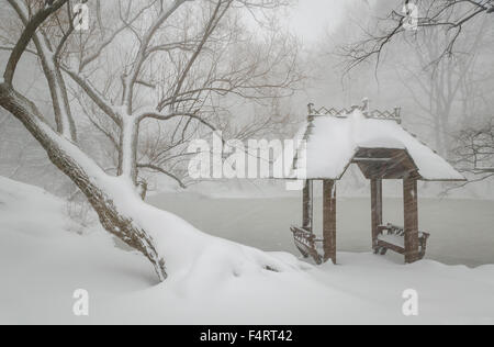 Wagner Cove e gazebo nella neve, Central Park Lake, New York City. Tranquillo e pacifico scena invernale nel cuore di Manhattan. Foto Stock