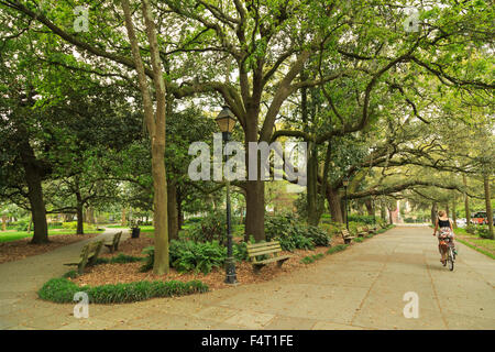 Una fotografia di un anonimo lady in sella a una moto in Forsyth park a Savannah, Georgia. Forsyth park è un grande parco cittadino. Foto Stock