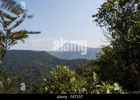 Stacciature picco in Sai Kung National Park, Hong Kong il 21 ottobre 2015. Foto Stock