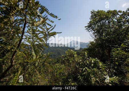 Stacciature picco in Sai Kung National Park, Hong Kong il 21 ottobre 2015. Foto Stock