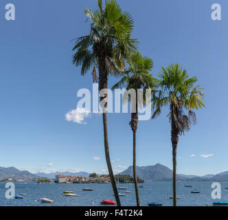 L'Italia, Europa, Stresa, Lombardia, Lombardia, Vista, Isola Bella, Lago Maggiore, paesaggio, acqua, estate, Montagne, Lago, palm tr Foto Stock