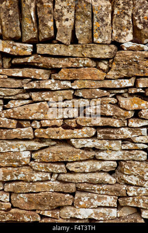 Primo piano di muro di pietra a secco con lichene nel Cotswolds Foto Stock