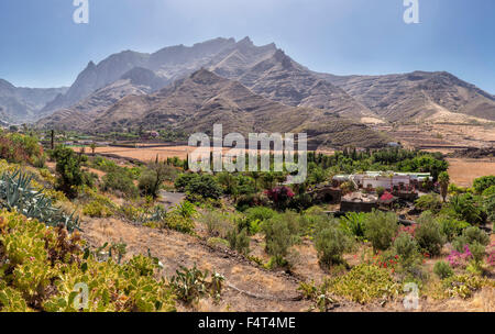 Spagna, Europa, Agaete, Gran Canaria Isole Canarie, Barranco de Agaete, valley, paesaggio, estate, montagne, colline, Foto Stock