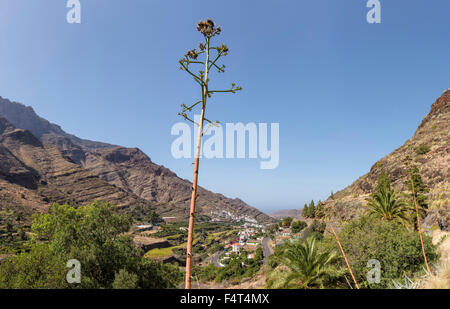 Spagna, Europa, Agaete, Gran Canaria Isole Canarie, Barranco de Agaete, valley, paesaggio, estate, montagne, colline, Foto Stock