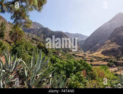 Spagna, Europa, Agaete, Gran Canaria Isole Canarie, Barranco de Agaete, valley, paesaggio, estate, montagne, colline, Foto Stock