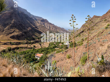 Spagna, Europa, Agaete, Gran Canaria Isole Canarie, Barranco de Agaete, valley, paesaggio, estate, montagne, colline, Foto Stock