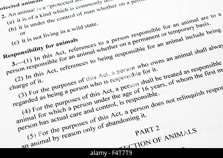 Sezione dal benessere degli animali Act (Northern Ireland) 2011 che definisce le persone responsabili degli animali. Foto Stock