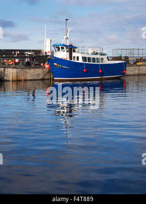 Isole farne piacere barca di crociera nel porto a Seahouses al tramonto Northumberland Inghilterra Foto Stock