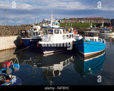Le barche nel porto a Seahouses al tramonto Northumberland Inghilterra Foto Stock