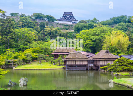 Giappone, Provincia di Shiga, Hikone Città, case da tè e il castello di Hikone Foto Stock