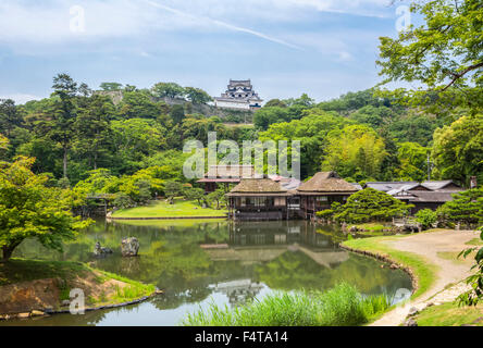 Giappone, Provincia di Shiga, Hikone Città, case da tè e il castello di Hikone Foto Stock