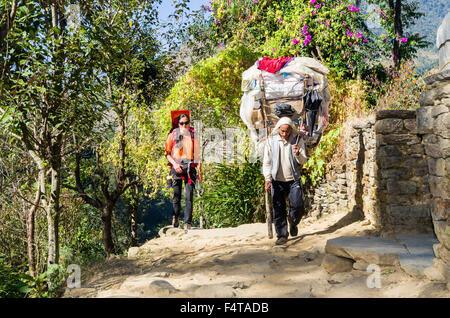 Giovane donna turistico che porta il suo bambino in una cremagliera sulla sua schiena, camminando accanto a un portiere nepalese con carico pesante Foto Stock