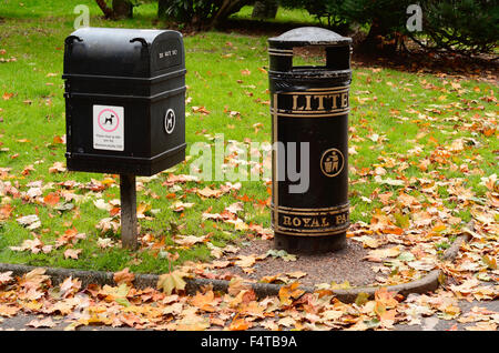 Una cucciolata bin e cane pasticcio bin Foto Stock