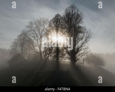 Il sole e la nebbia in Trachselwald Foto Stock