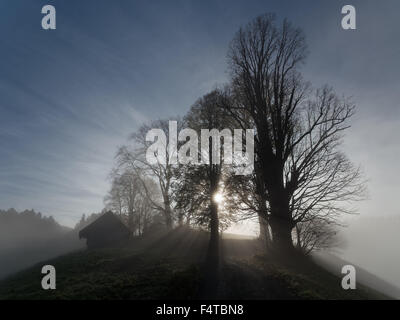 Il sole e la nebbia in Trachselwald Foto Stock