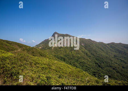 Stacciature picco in Sai Kung National Park, Hong Kong il 21 ottobre 2015. Foto Stock