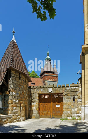 Città di boschetti, Varosliget, Castello Vajdahunyad, Museo dell'agricoltura, ingresso laterale Foto Stock