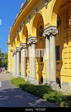 Città di boschetti, Varosliget, bagno termale di Széchenyi Foto Stock