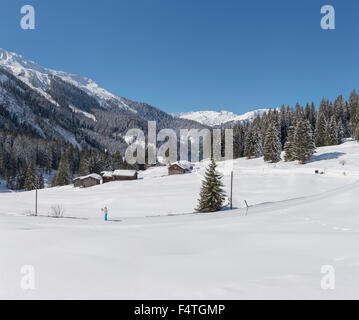 Casa con un sacco di alberi, riflessi in un canale Foto Stock