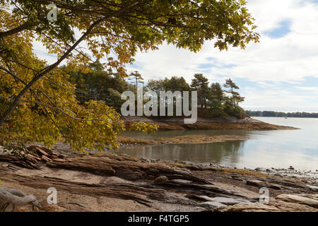 Maine costa al collo Wolfes boschi del Parco Statale di Casco Bay Freeport, Maine, Stati Uniti d'America Foto Stock