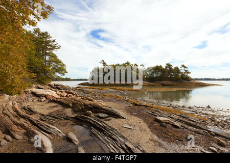 La costa del Maine presso il parco statale Wolfe's Neck Woods, Casco Bay Freeport, Maine, Stati Uniti d'America Foto Stock