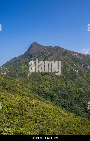 Stacciature picco in Sai Kung National Park, Hong Kong il 21 ottobre 2015. Foto Stock