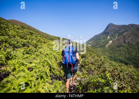 Stacciature picco in Sai Kung National Park, Hong Kong il 21 ottobre 2015. Foto Stock